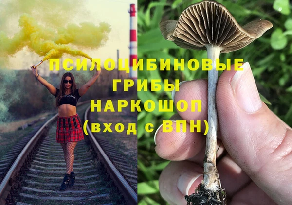 COCAINE Богданович